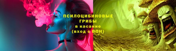 гашик Алексин