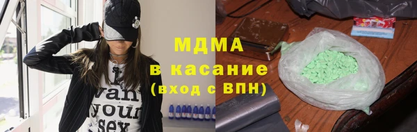 гашик Алексин