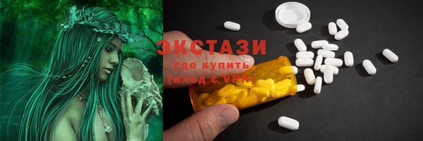 гашик Алексин