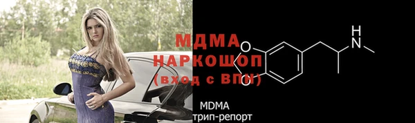 гашик Алексин