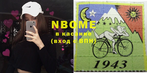 гашик Алексин