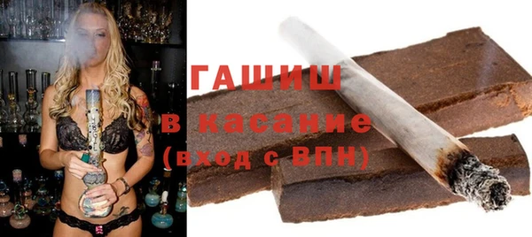 гашик Алексин